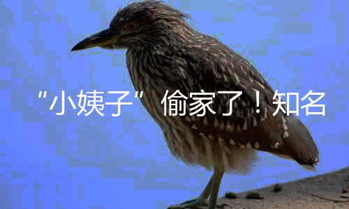 名声礼和姨子优内小宣布知石川偷田真家了界人结婚