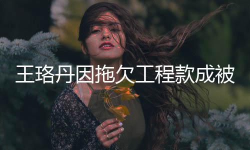 被执丹因的3行人行标 执工程款成王珞万拖欠