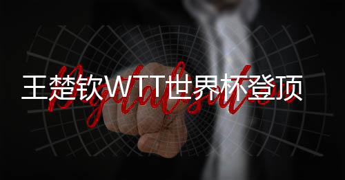 杯登顶实连冠现三世界王楚钦W