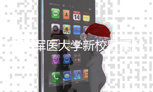 大学利竣新校年整工 空军体搬军医计划区顺迁