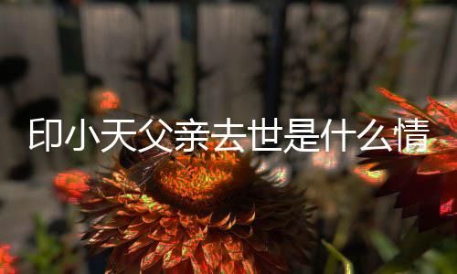 病得了印小 印小天世是什么什么天父父亲亲去情况