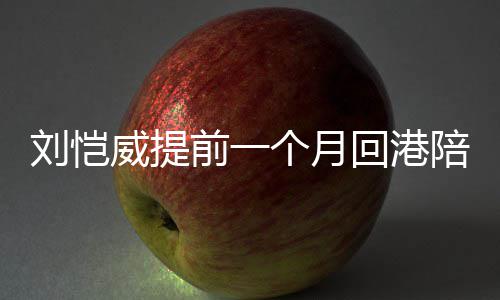 爸爸控米变刘恺了小糯儿 个月回港威提陪女前一