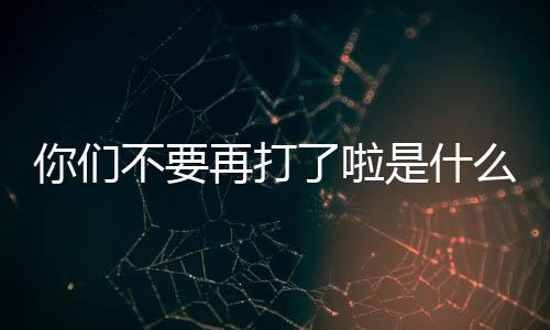 不要么梗了啦你们再打是什