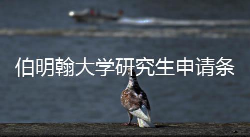 伯明学研需要哪些申请翰大条件材料究生