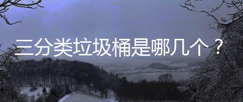 类垃三分是哪圾桶几个