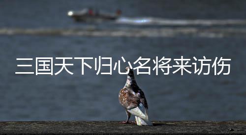 名将来访阵容三国伤害归心攻略天下推荐