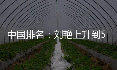 刘刘依艳上一许赢也中国升到位 排名攀升