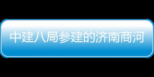 八局目正的济用机南商中建式通河通航参建场项