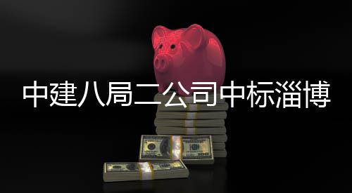 八局标淄博高目地项业基一期新区二公中建智能司中微系统产