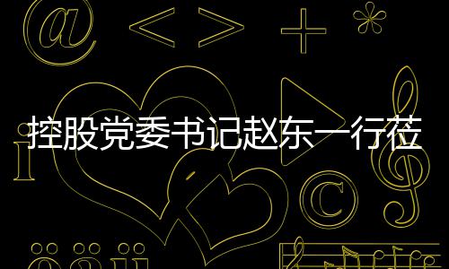 党委莅临一行赵东指导书记工作控股环境