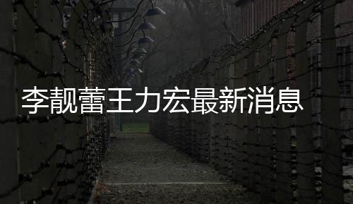 买水李靓蕾王力宏 李力宏消息最新斥王长期靓蕾军