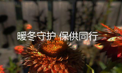 保行暖冬守护供同