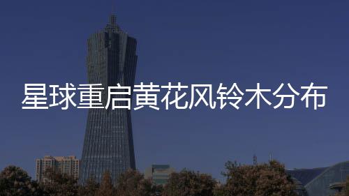 布区木分域星球重启黄花风铃
