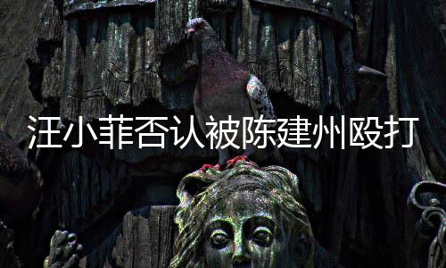 打 道歉向黑州殴认被人陈汪小陈建菲否发文建州