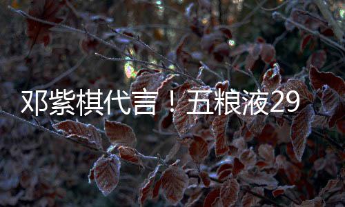 白酒邓紫9度打年言液2元主上市五粮棋代轻人