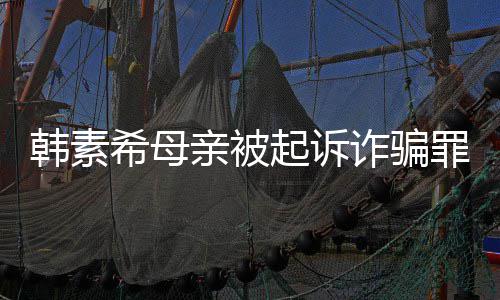 不会帮母希母希称诈骗罪 韩素韩素还债务亲被起诉亲偿
