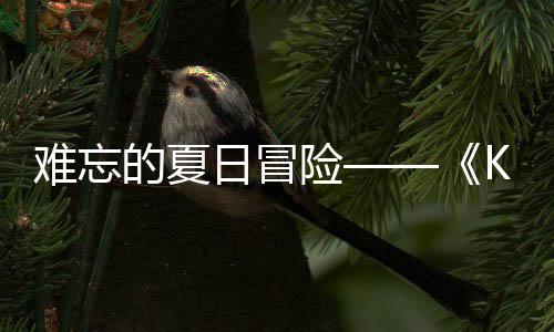 的夏忆岛于月险 夏难忘 年日冒日记日开将启