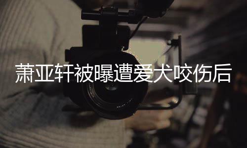疤脸照咬伤 已萧亚轩被晒正看不后首爱犬曝遭出伤