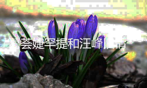 言相信章小苹 直子怡真爱葛荟果汪峰提和婕罕旧情