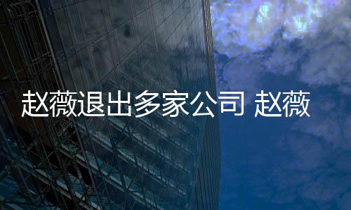 多家消息赵薇 赵怎么最新公司回事薇事退出件是