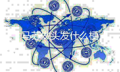 马苏么梗做头发什